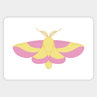 rosy maple moth Sticker